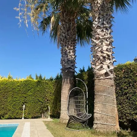 Bodrum De Denize 250 M Lux Havuzlu Turgutreis